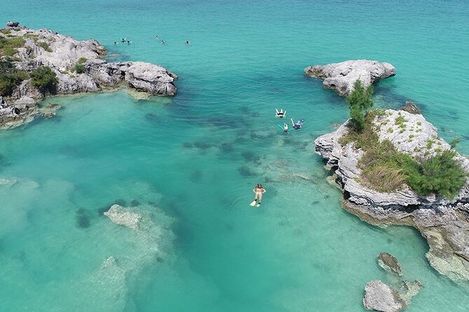 Glass Bottom Boat and Snorkeling Combo in Bermuda - Sea grass beds and the chance of turtles