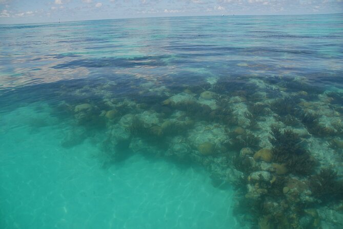 Glass Bottom Boat and Snorkeling Combo in Bermuda - The three-foot snorkeling stop
