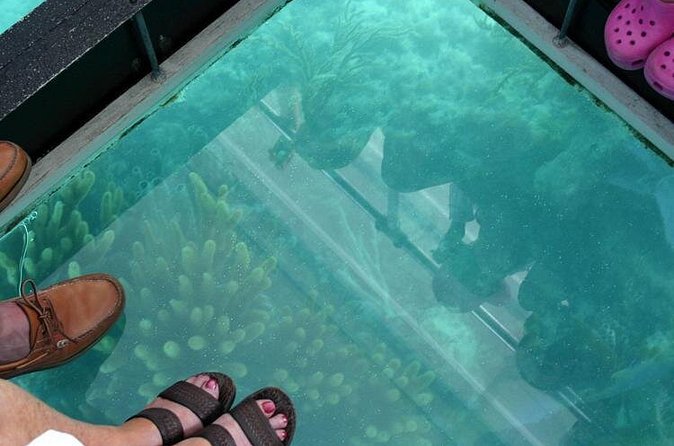 Glass Bottom Boat and Snorkeling Combo in Bermuda - What the snorkeling can be like
