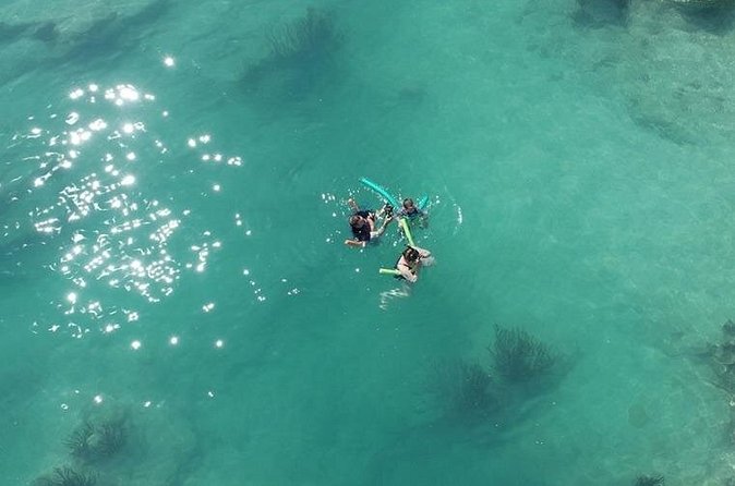 Glass Bottom Boat and Snorkeling Combo in Bermuda - The crew makes the difference