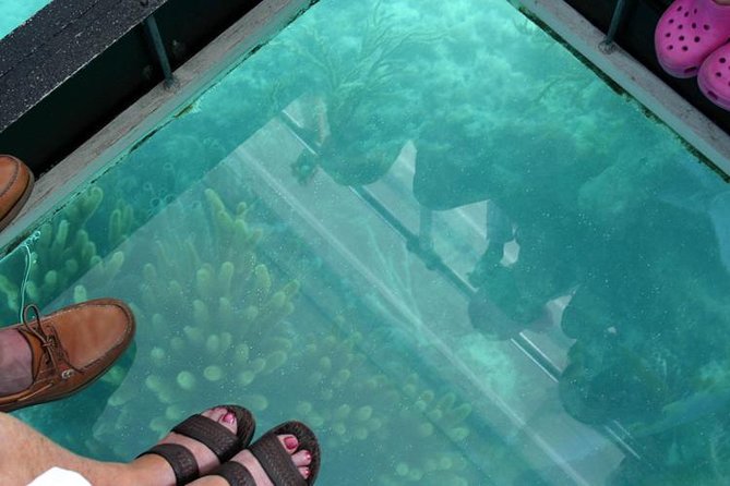 Glass Bottom Boat and Snorkeling Combo in Bermuda - The ride back and the rum swizzle