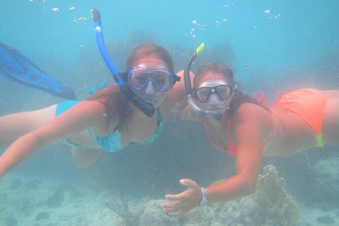 Glass Bottom Boat and Snorkeling Combo in Bermuda - Seeing the Vixen through the glass bottom