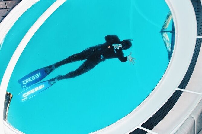 Glass Bottom Boat Tour & Snorkeling in São Miguel, Azores - The real timing: plan for more than two hours