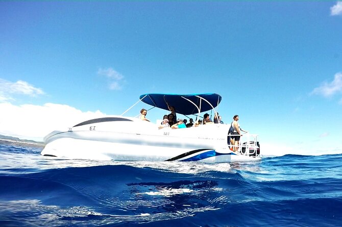 Glass Bottom Boat Tour & Snorkeling in São Miguel, Azores - Practical details for families and mixed-age groups