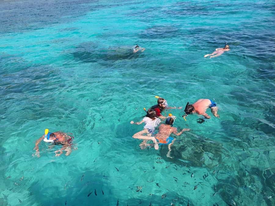 Glassbottom boat & Crystalkayak SteAnneMarinePark Snorkeling - The second snorkeling stop