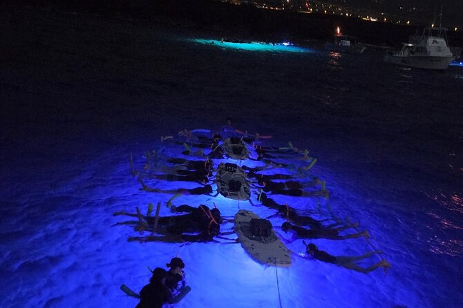 Glow of the Deep: Night Snorkeling with Manta Rays - Key points to know before you book