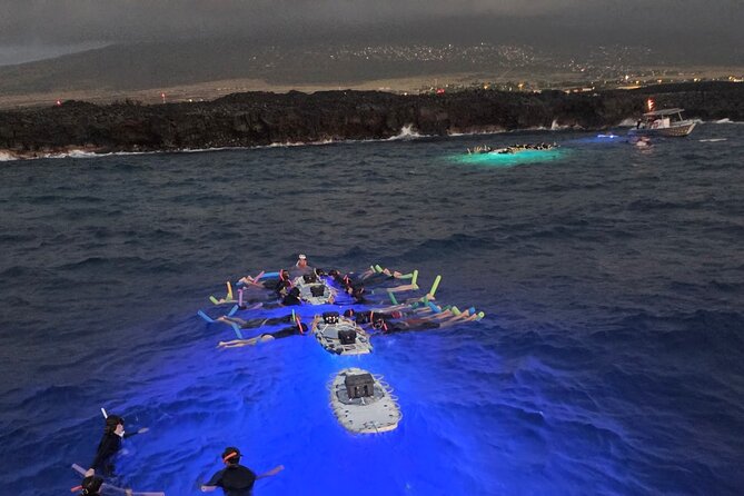 Glow of the Deep: Night Snorkeling with Manta Rays - Why the manta behavior is worth the trip