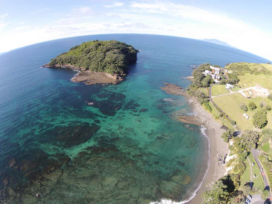 Goat Island Guided Snorkeling Tour for Beginners - Why Goat Island works well for first-time snorkelers
