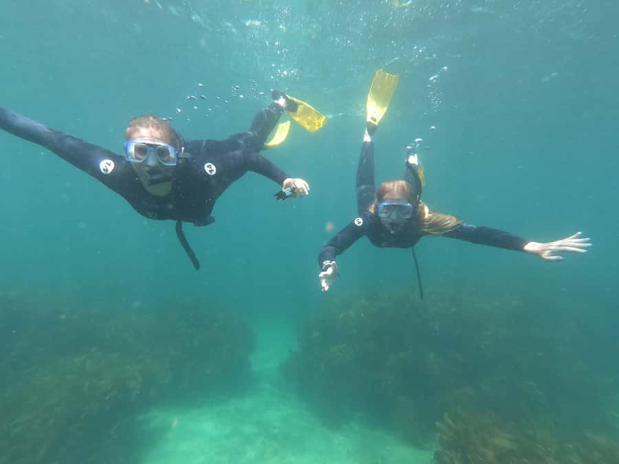 Goat Island Guided Snorkelling Tour For Advanced - Why Goat Island Marine Reserve matters