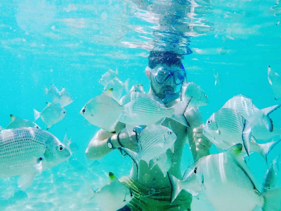 Gold Coast: Kayaking and Snorkeling Guided Tour - Reaching Wavebreak Island by kayak