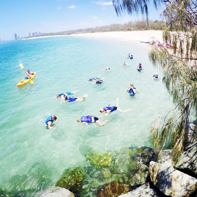 Gold Coast: Kayaking and Snorkeling Guided Tour - Guides, group size, and the beginner experience
