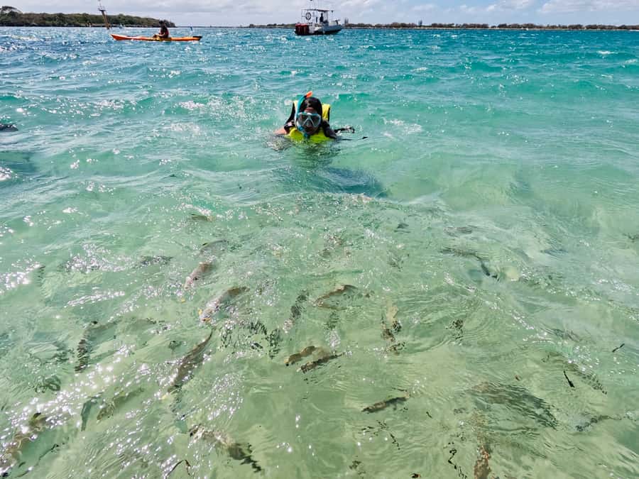 Gold Coast: Kayaking and Snorkeling Guided Tour - What to wear and pack for this Gold Coast tour