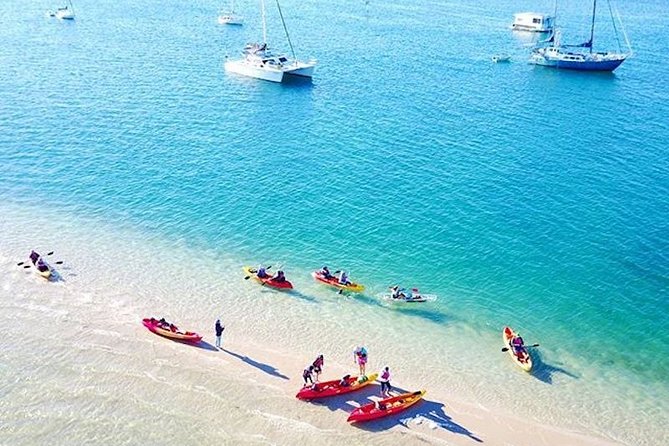 Gold Coast Kayaking & Snorkelling Tour (2.5 Hours) - The Broadwater wildlife watch