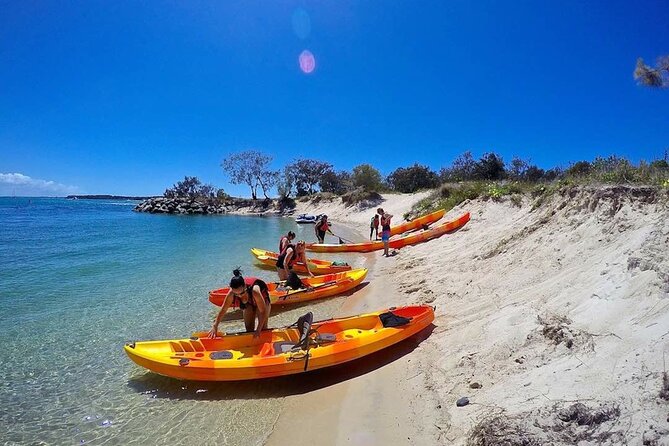 Gold Coast Kayaking & Snorkelling Tour (2.5 Hours) - Who should book this Gold Coast outing?