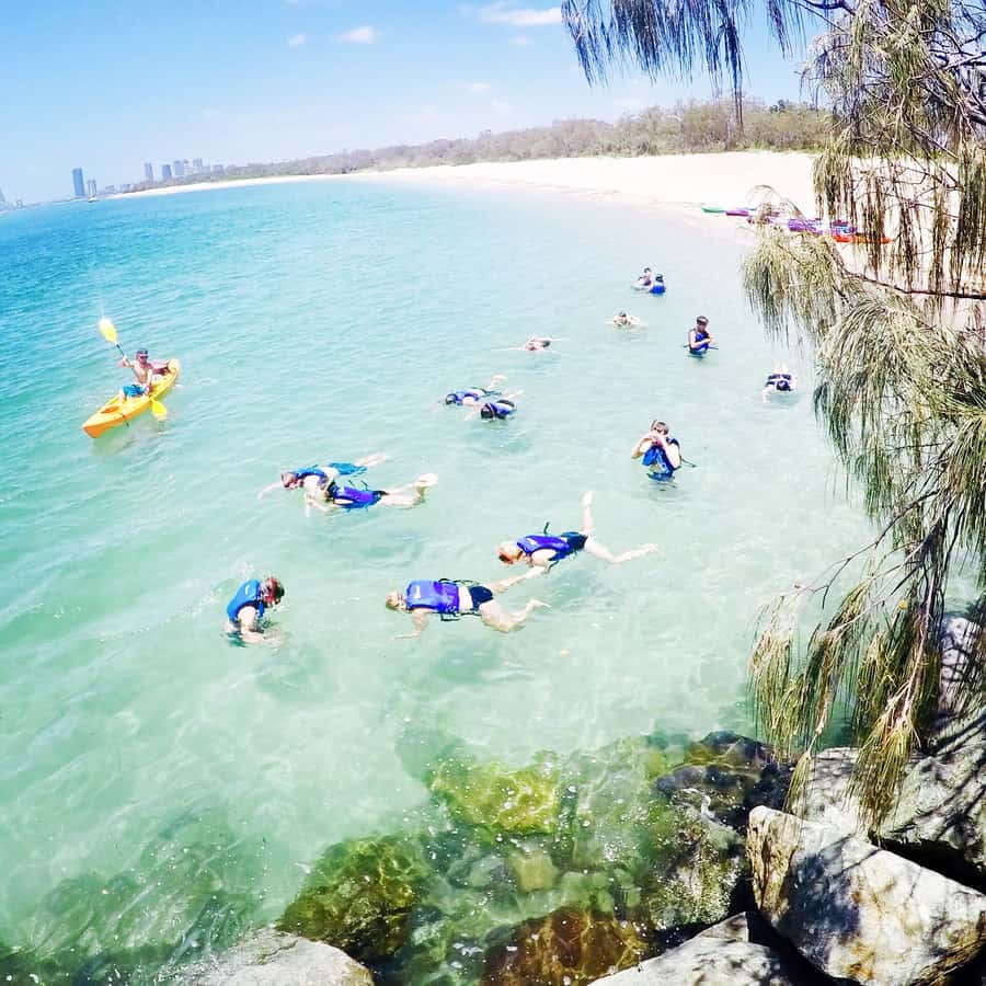 Gold Coast: Kayaking & Snorkelling Tour with Fish Feeding - Why the Broadwater makes a good first paddle