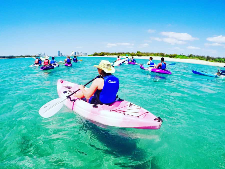 Gold Coast: Kayaking & Snorkelling Tour with Fish Feeding - Meeting the guide at Biggera Waters