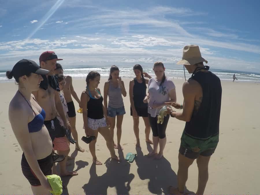 Gold Coast: Kayaking & Snorkelling Tour with Fish Feeding - Weather, clothing, and practical limits