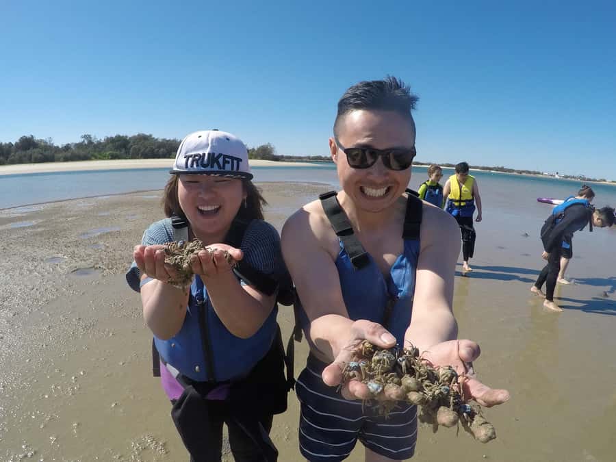 Gold Coast: Kayaking & Snorkelling Tour with Fish Feeding - My verdict on booking