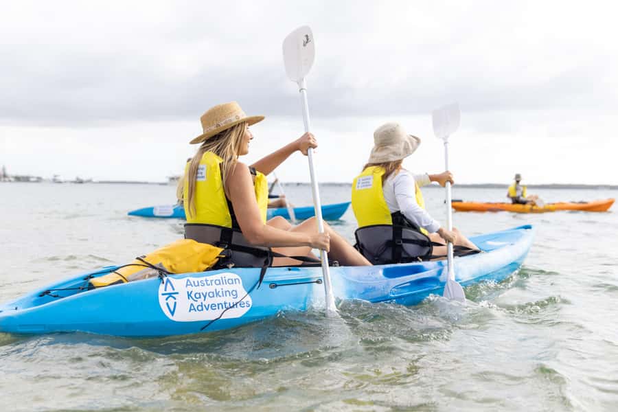 Gold Coast: Kayaking & Snorkelling Tour with Fish Feeding - Learning to kayak on calm water