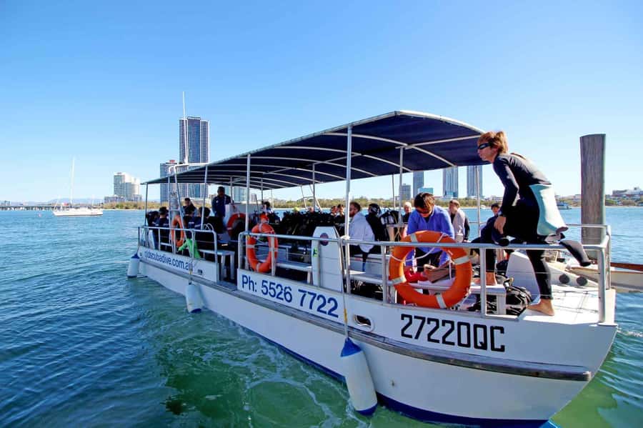 Gold Coast: Snorkelling in Wave Break Island - Key points to know before you book