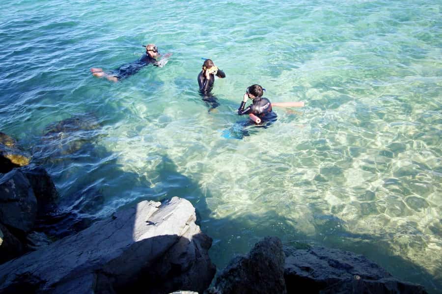 Gold Coast: Snorkelling in Wave Break Island - Getting fitted with masks, fins, and wetsuits