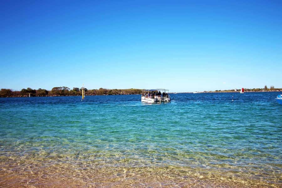 Gold Coast: Snorkelling in Wave Break Island - How much help do beginners receive?