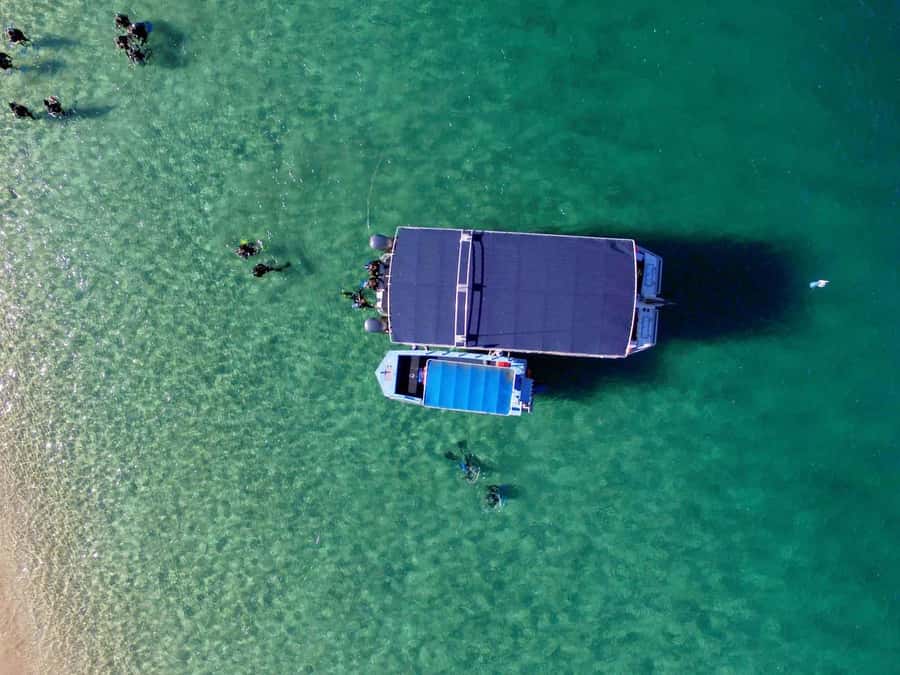 Gold Coast: Snorkelling in Wave Break Island - From the Gold Coast marina to the island