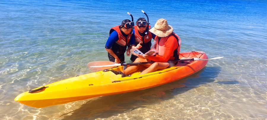 Gold Coast: Wave Break Island Kayaking & Snorkeling tour - Key points to know before you book