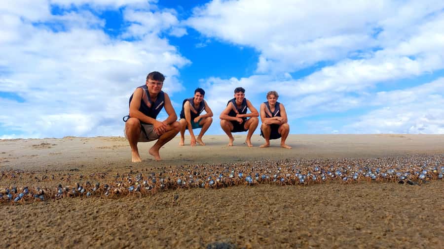 Gold Coast: Wave Break Island Kayaking & Snorkeling tour - Who should book this tour
