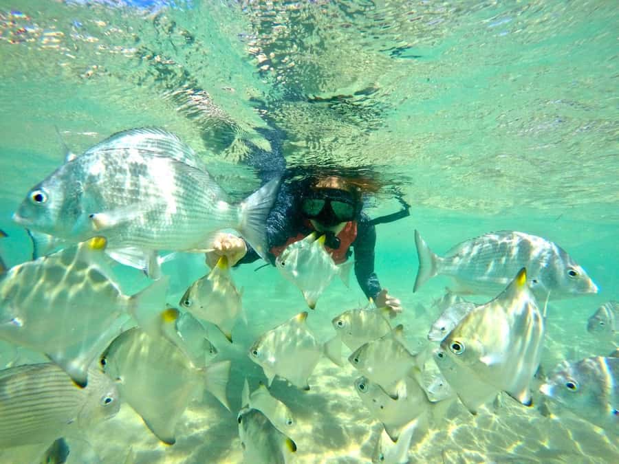 Gold Coast: Wave Break Island Kayaking & Snorkeling tour - The first 30 minutes across the Broadwater