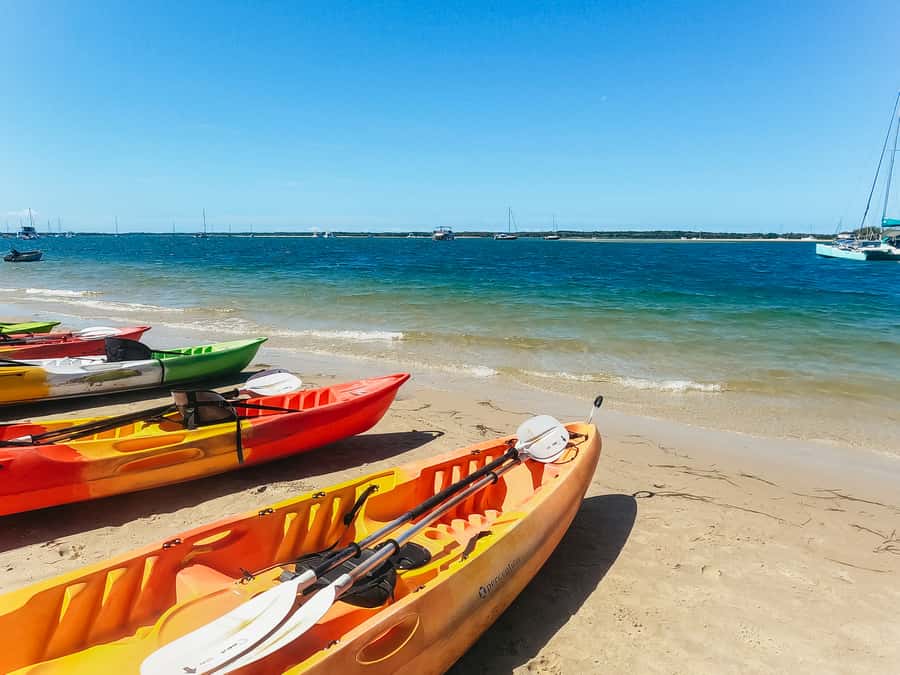 Gold Coast: Wave Break Island Kayaking & Snorkeling tour - What the guide team does well