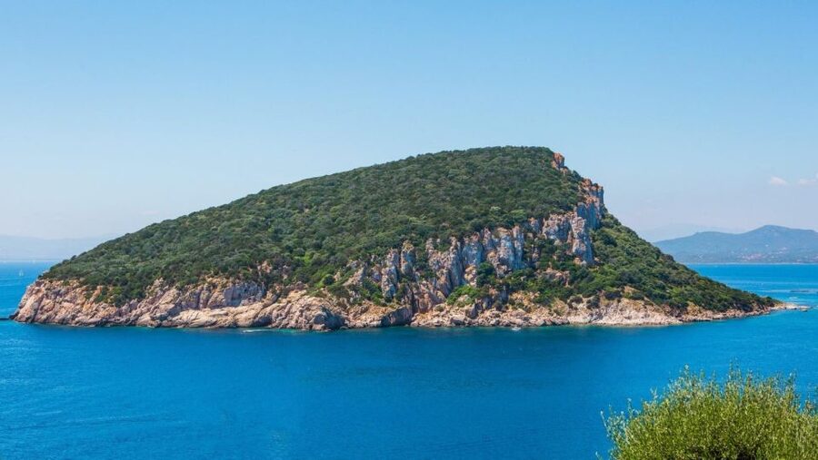 Golfo Aranci: Dolphin Watching and Snorkeling Boat Tour - Cala Greca: a first chance to swim