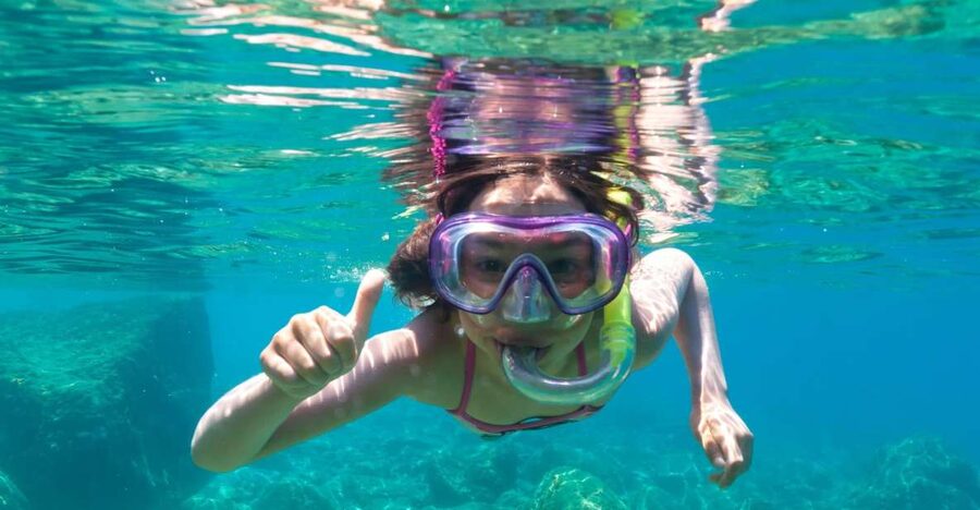 Golfo Aranci: Dolphin Watching and Snorkeling Boat Tour - Cape Figari and the search for dolphins