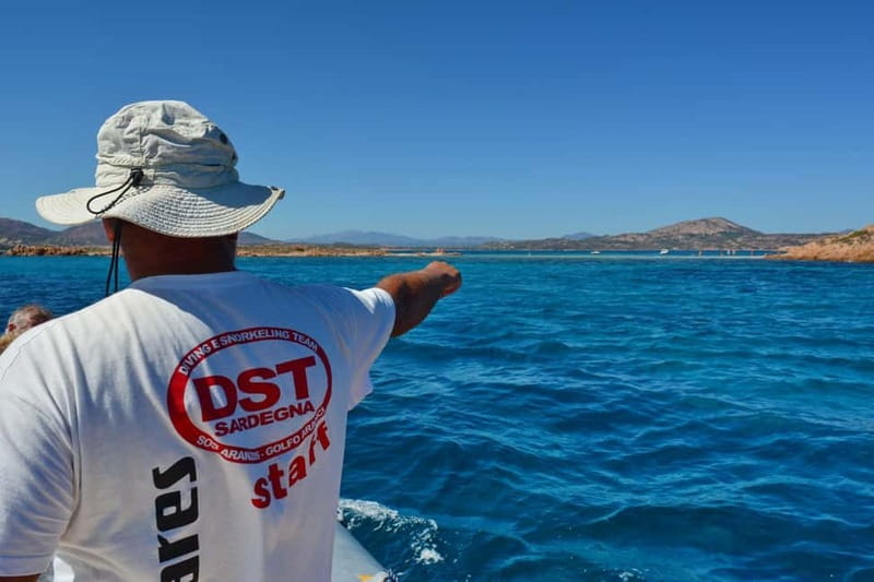 Golfo Aranci: Tavolara and Molara Snorkeling Dinghy Tour - Key points to know before booking