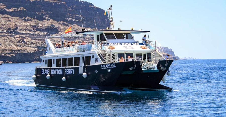 Gran Canaria: Catamaran Dolphin Watch Cruise with Snorkeling - A coastal stop for swimming, snorkeling, and the slide