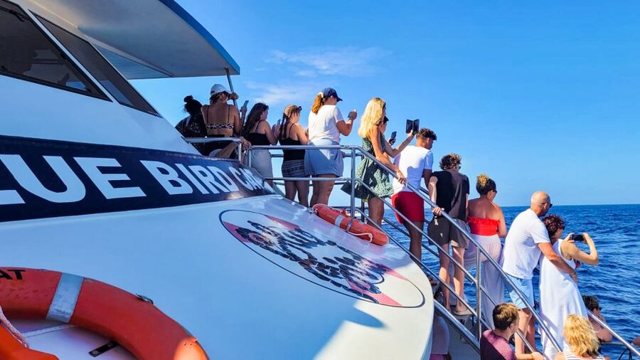Gran Canaria: Catamaran Dolphin Watch Cruise with Snorkeling - Returning by catamaran and coach