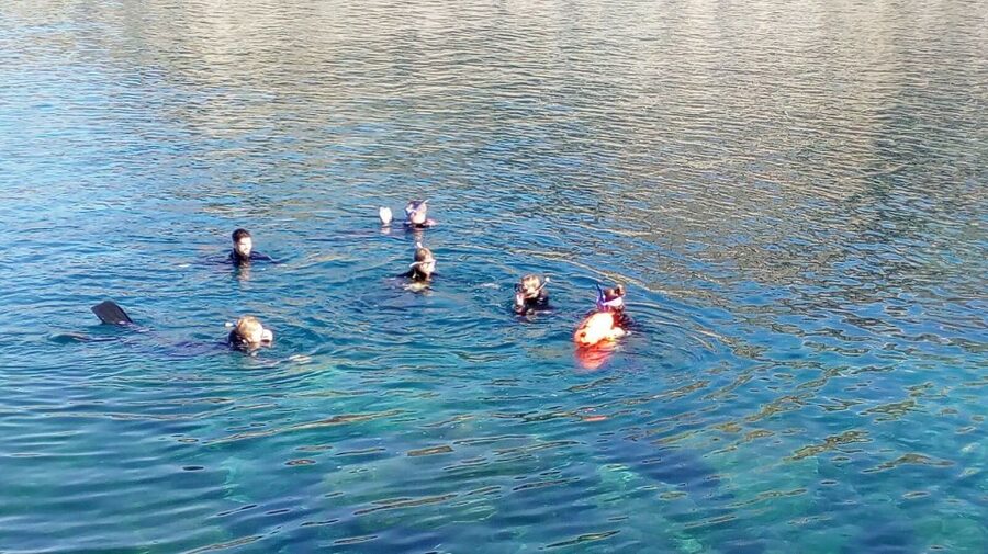 Gran Canaria: Snorkeling Trip - Key points to know before you book