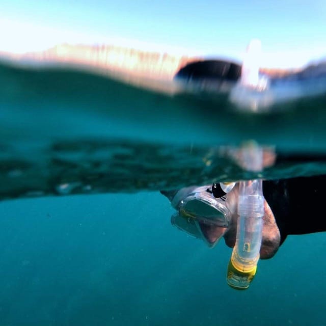 Gran Canaria: Snorkeling Trip - Starting at the Puerto Rico diving center
