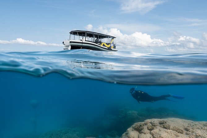 Great Barrier Reef Small Group Snorkelling Adventure - The fast boat changes the feel of the trip