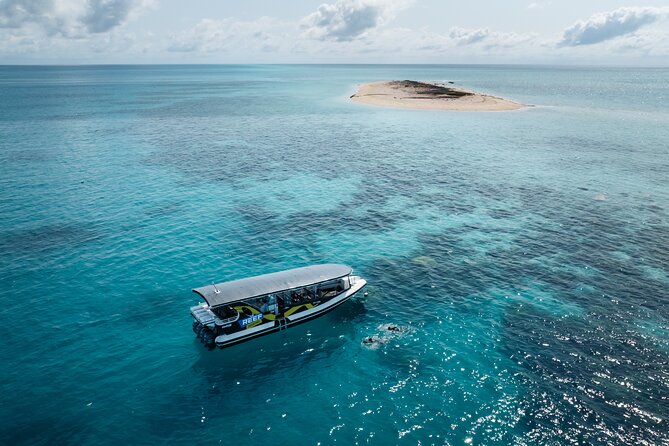 Great Barrier Reef Small Group Snorkelling Adventure - Guided snorkelling for capable swimmers