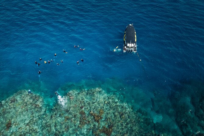 Great Barrier Reef Small Group Snorkelling Adventure - What the $185.77 price includes