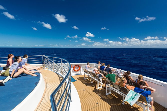 Great Barrier Reef Snorkeling and Diving Cruise from Cairns - Starting early at Cairns Reef Fleet Terminal