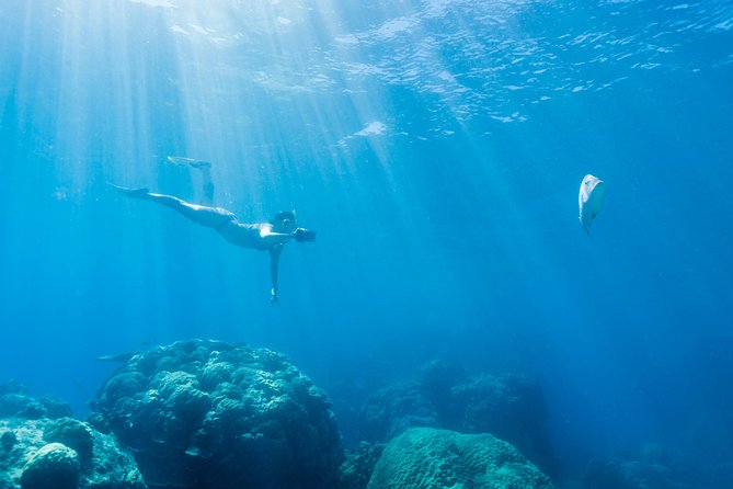 Great Barrier Reef Snorkeling and Diving Cruise from Cairns - What the crew does well