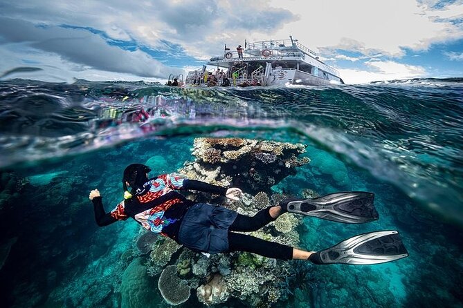 Great Barrier Reef with Cultural Guides-Dreamtime Dive & Snorkel - Moore Reef, your first two hours in the water