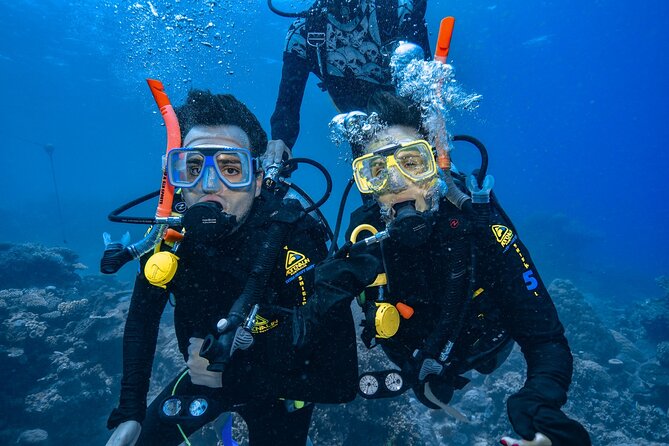 Great Barrier Reef with Cultural Guides-Dreamtime Dive & Snorkel - The marine biology presentation and what you learn