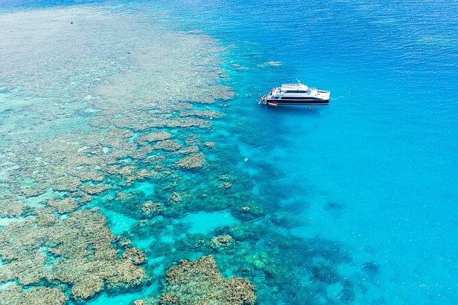 Great Barrier Reef with Cultural Guides-Dreamtime Dive & Snorkel - Leaving Cairns at 8:30 in the morning