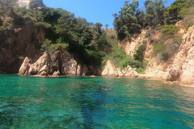 Guided Kayak & Snorkel tour to Costa Brava: Small Group and Lunch - What to bring and how to prepare