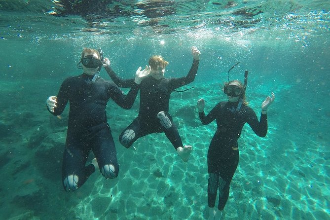 Guided Small Group Manatee Snorkeling Tour with In-Water Photographer - Meeting at 226 NE 5th Street in Crystal River