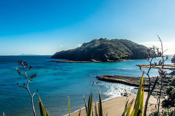 Guided Snorkel Experience, Advanced - Who will get the most from this experience