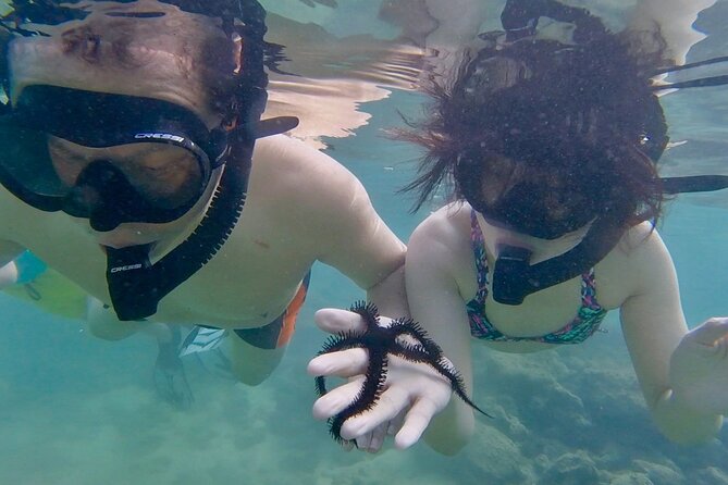 Guided Snorkel Tour for Beginners in Honolulu - Why the small group matters